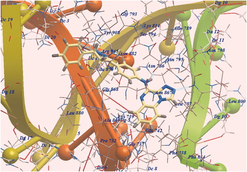 Figure 5. DNA-Topo II and 7c expected binding mode.