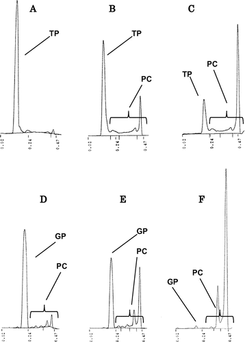 Fig. 2. TLC-FID chromatograms of GP and TP after heating at 180 °C. A TP (2 h), B TP (4 h), C TP (8 h), D GP (2 h), E GP (4 h), and F GP (8 h). GP, glycidyl palmitate; TP, tripalmitin; PC, polar compounds.