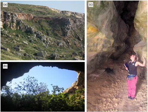 Figure 6. Karst features: (a) sinkhole at Ghadira Bay; (b) sinkhole originated by cave roof collapse in the Marfa Ridge promontory; (c) cave developed on a cliff located in the south-western coast.