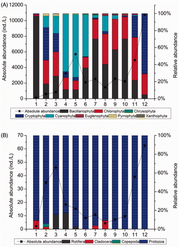 Figure 4. Abundance of different phytoplankton (A) and zooplankton (B) groups at 12 sampling sites within the Houxi River watershed.