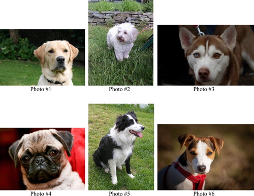 Figure 1. Dog photos used in the survey.