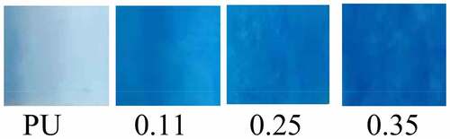 Figure 5. Results of Coomassie Bright Blue Staining of Four Groups of Vascular Membranes