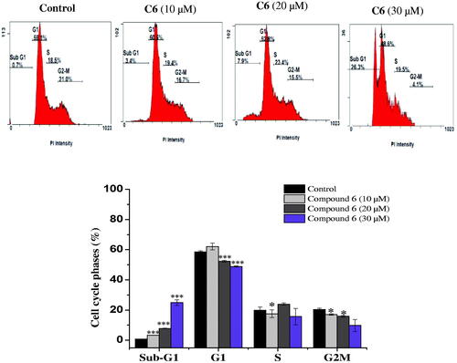 Figure 2. Cell cycle distribution of MCF-7 cells analysed by flow cytometry after treatment with compound 6 at (10, 20 and 30 μM) concentrations for 24 h. The histogram showing the cells percentage in control and treated cells. Columns, average ± SD. *p < 0.05, **p < 0.01 and ***p < 0.001 as compared to control.