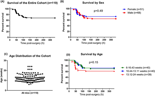 Figure 1 Animal survival by sex and age. We analyzed animal survival in a cohort of 119 C57BL/6 mice that underwent CLP. (A) Survival of the entire cohort, (B) Survival in females vs males, (C) Age distribution of mice in the entire cohort, (D) Survival of mice by age groups. Graphs show Kaplan–Meier plots for animal survival, and individual values for mouse age. Survival data were compared via the Log rank test.