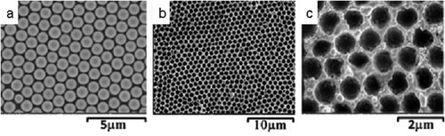 Figure 10. (a) SEM image of a polystyrene monolayer film used for the SSV method. (b) and (c) SEM images of the resulting Cu/Ag SSVs. Adapted from Ref. [Citation105] with permission. Copyright 2019 American Chemical Society.