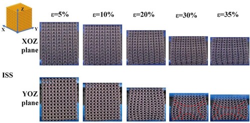 Figure 9. Deformation behaviour of imitation saddle surface (ISS) lattice structure. Configuration of ISS lattice structure in the XOZ and YOZ plane at 5%, 10%, 20%, 30%, and 35% strains.