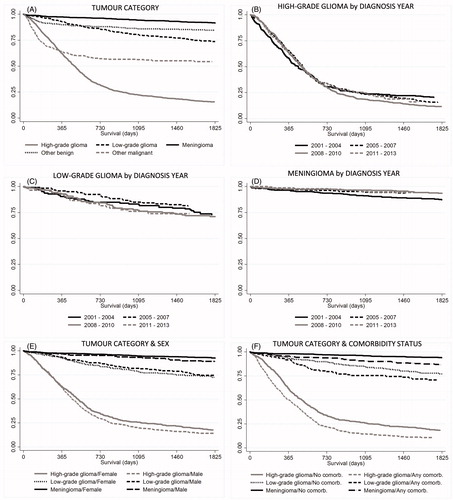 Figure 2. Survival over time was estimated using Kaplan-Meier analysis. Patients were grouped by (A) tumor type (p < .001), (B–D) year of diagnosis (n.s.), (E) sex and tumor category (p < .001), (D) comorbidity and tumor category (p < .001). Tests of statistical significance of differences between groups were performed using log-rank test for equality of survivor functions.