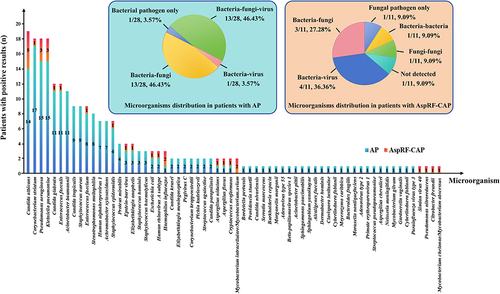 Figure 2 Microorganisms detected in patients with AP and AspRF-CAP. The column chart showed the numbers of microorganisms detected. A total of 213 and 31 strains of microorganisms were detected in patients with AP and AspRF-CAP, respectively. The left pie chart showed the detailed proportions of microorganism distribution in AP patients, including bacterial pathogen only (1/28, 3.57%), bacteria-fungi co-detection (13/28, 46.43%), bacteria-virus co-detection (1/28, 3.57%), and bacteria-fungi-virus co-detection (13/28, 46.43%). The right pie chart showed the detailed proportions of microorganism distribution in AspRF-CAP patients, including not detected (1/11, 9.09%), fungal pathogen only (1/11, 9.09%), bacteria-bacteria co-detection (1/11, 9.09%), fungi-fungi co-detection (1/11, 9.09%), bacteria-fungi co-detection (3/11, 27.28%), and bacteria-virus co-detection (4/11, 36.36%).