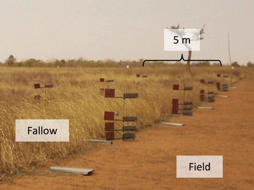 Figure 5 A scene from a field experiment on wind erosion.