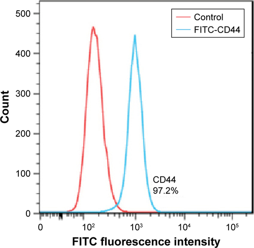 Figure S4 CD44 expression of the HepG2 cells.