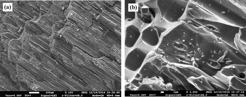 Figure 4. Specimens of biochar processed with acetone: (a) magnification, ×100; (b) magnification, ×3000.