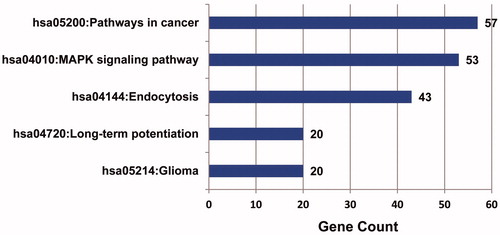 Figure 6. Metabolic pathways enrichment analysis of target genes of up-regulated miRNA in osteosarcoma Target genes of up-regulated miRNA were mainly enriched in four pathways, with cancer possessing the highest enrichment degree.