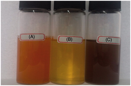 Figure 1. Prunus japonica aqueous extract (A&B) before and after dilution (C) AgNPs formed after treating with extract.