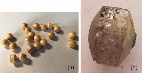 Figure 8. Images of PbO particles before (a) and after (b) the experiment.