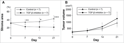 Figure 4. Quantitation of cancer cells and stromal cells in TGF-β inhibitor-treated and control pancreatic tumors. A) Line graphs show the percentage of RFP-expressing stromal area obtained by real-time intravital imaging in treated and untreated tumors. *P < 0.05; **P < 0.01; ***P < 0.001. Error bars: ± SD. B) Line graphs show real time increase of tumor volume in untreated and treated tumors.