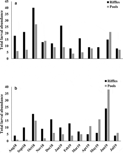 Figure 5. Total larval abundance for all the species collected in Quebrada Prieta (a) and Quebrada Gatos (b) from August 2018 to July 2019.