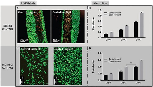 Figure 24. Evaluation of cell viability and proliferation by LIVE/DEAD imaging (after one day of culture) and Alamar Blue assay (after one to seven days of culture). MG-63 cells were grown in either direct or indirect contact with the dental implant. For Alamar Blue analysis, all the means (n = 8) are statistically different (p < .0001, test ANOVA followed by Tukey’s post-hoc test) except for the couple shown in the graph (marked as ‘ns’, p = .10) [Citation52].