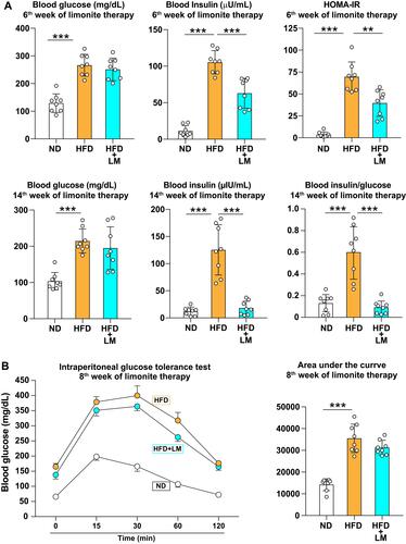 Figure 4 Amelioration of insulin resistance in mice receiving limonite supplement compared to control mice. (A) Mice received a high-fat diet (HFD, n=8), a high-fat diet with limonite supplement (HFD+LM, n=8), or a normal diet (ND, n=8). The levels of fasting blood glucose and insulin were measured on the 6th and 14th weeks after starting therapy with limonite. The Homeostasis Model Assessment for Insulin Resistance (HOMA-IR) was calculated on the 6th, and the blood insulin/glucose ratio was calculated on the 14th week after starting therapy with limonite. Data are the means ± S.D. (B) Intraperitoneal glucose tolerance test and calculation of the area under the curve were performed on the 8th week after starting limonite supplement. Data are the means ± S.E. Statistical analysis was performed by one-way ANOVA with Tukey’s test. **p<0.05, ***p<0.001.