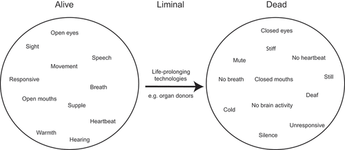 Figure 1. The liminal status of braindead and non-heart-beating organ donors.