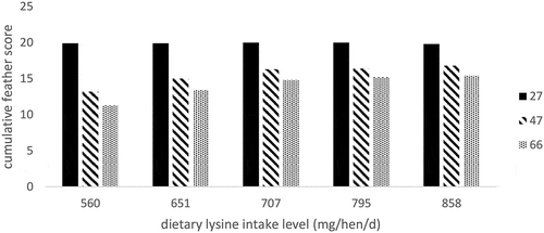 Figure 3. Effect of lysine intake level (mg/hen/day) on mean cumulative feather score from 1 (completely featherless) to 4 (fully feathered) at five body areas: neck, back, vent, wings and breast, of laying hens fed different dietary lysine levels at 27 (black), 47 (striped) and 66 (dotted) weeks of age. Adapted from Kumar et al. (Citation2018).
