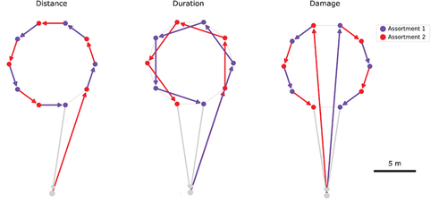 Figure 10. Optimized routes on the artificial model system. The solutions illustrate how the optimization algorithm separately minimizes distance, duration, and damage. The color of the arrow indicates the assortment of the destination node at each step of the route.