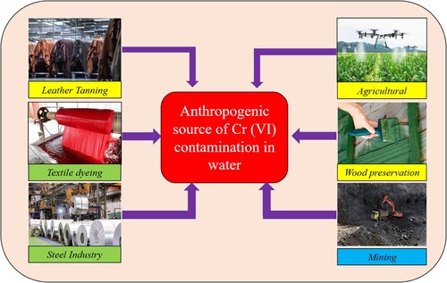 Figure 2. Anthropogenic activities are responsible for the Cr (VI) contamination in water.