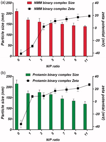 Figure 8. (a) Particle size and zeta potential of NMM binary complexes at N/P ratios ranging from 1 to 11. (b) Particle size and zeta potential of protamine binary complexes at N/P ratios ranging from 1 to 11. The results are presented as mean ± SD (n = 3). NMM: NLS-Mu-Mu; N/P ratio: nitrogen to phosphate ratio; Prot: protamine.