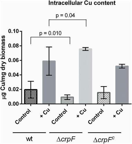 Figure 5. Intracellular Cu determination. Cu concentration was quantified on mycelia from wt and ΔcrpF strains grown in SM (control) and SM supplemented with 0.1 mM CuSO4. The amount of Cu is reported as mg g−1 biomass. Values are the average of three replicates.