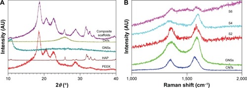 Figure 2 XRD patterns and Raman spectra of the raw powder and scaffolds.Notes: (A) XRD patterns of the raw powder and composite scaffolds, and (B) Raman spectra of GNS and CNT powder and S2, S4, and S6 scaffolds. S2, PEEK–10 wt% nano-HAP–1 wt% GNSs; S4, PEEK–10 wt% nano-HAP–0.5 wt% GNSs–0.5 wt% CNTs; S6, PEEK–10 wt% nano-HAP–1 wt% CNTs.Abbreviations: CNTs, carbon nanotubes; GNSs, graphene nanosheets; HAP, hydroxyapatite; PEEK, polyetheretherketone; XRD, X-ray diffraction.
