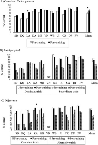 Figure 8. Accuracy in semantic control tasks. NT = not tested; * = significant (p < .05) improvement after training. Error bars show SEM.