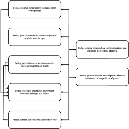 Figure 2. The connection among the emerged concepts regarding parents’ concerns.