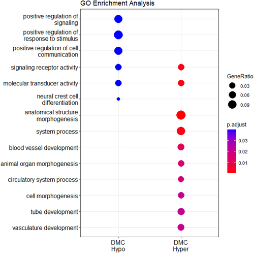 Figure 6. Enrichment analysis performed on the genes associated with the DMR and DMC regions using clusterProfiler and calves gestated by nonlactating cows as a reference group. The size of the dots represents the “GeneRatio,” defined as k/n, where k is the number of genes in our dataset that are annotated to the GO term and n is the total number of unique genes in the dataset.