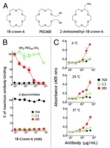 Figure 7. 2B5 can bind to crown ether structure. (A) Illustration of the chemical structures of 18-crown-6, PEG400 and 2-aminomethyl-18-crown-6. (B) Graded concentrations of 18-crown-6 were mixed at 4°C with 10 μg/mL 3.3 (○), 2B5 (■) or 7G8 (●) antibodies prior to addition to 96-well plates coated with amino-PEG2k-NH2 (upper panel) or β-glucuronidase (lower panel). Results show antibody binding as a percentage of maximum binding activity. (n = 3). Bars, SD (C) Graded concentrations of purified 3.3 (○), 2B5 (■) or 7G8 (●) antibodies were incubated at 4°C, 25°C or 37°C in microplate wells coated with 2-aminomethyl-18-crown-6. After 4 h, the wells were washed and antibody binding was determined by adding biotin-conjugated goat anti-mouse IgG Fc antibodies and streptavidin-biotinylated peroxidase complex followed by ABTS substrate. The mean absorbance values (405 nm) of triplicate determinations are shown. Bars, SD.