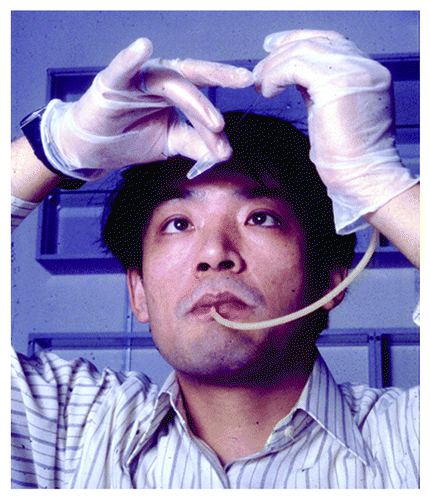 Figure 5. Shige Nagata in action. Shige’s untiring efforts led to the first isolation of human α interferon cDNA, the cognate chromosomal gene family and the expression of biologically active interferon in E.coli. Here he posed for a photo that appeared in Life magazine. Note the state-of-the-art glass micropipette and the mouth-pipetting technique which earned us a tongue-in-cheek reproach from Phil Leder.
