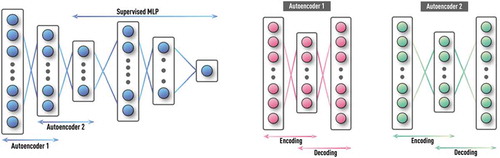 Figure 15. Schematics of DNN with stacked auto-encoders followed by supervised NN. First, the auto-encoder layers are trained in unsupervised fashion using labeled and unlabeled data. Then, the MLP classifier is trained on labeled data using usual supervised learning, while weights from the first set of layers are kept constant. For further reduction of requirement on training data size, single multi-layer auto-encoder is replaced by a stack of shallow auto-encoders (e.g. each with only one hidden layer) that are trained one at a time.