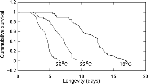 Figure 1. Kaplan–Meier cumulative survival functions for B. calyciflorus at 16°C, 22°C, and 29°C and in continuous darkness.