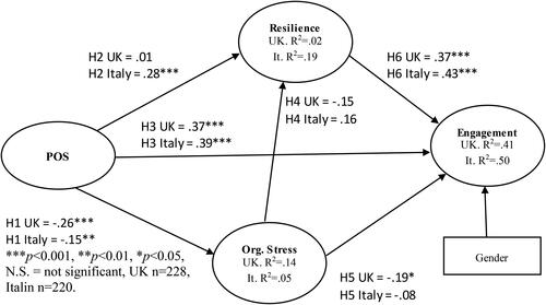 Figure 1. Path model.