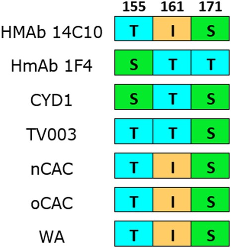 Figure 4. Amino acid divergence comparison between nCAC and epitopes of DENV-1 neutralizing human monoclonal antibodies (HMAb 1F4 and HMAb 14c10) and vaccine strains. Numerals represent the E protein amino acid position. The other African clades were included for comparison. CYD1: Dengvaxia®; TV003: TetraVax-DV-TV003; nCAC: new Central African clade; oCAC: old Central African clade; WA: West African clade.