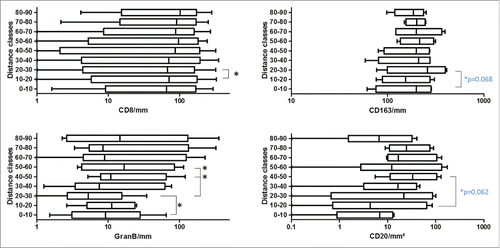 Figure 5. Boxplots of identified CD8+, GranB, CD163 and CD20 cell densities in different distance classes. Statistically significant differences between adjacent distance classes are marked with asterisks (Wilcoxon signed-rank test; blue p values given for paired t-tests; patient numbers for CD8+ n = 10, GranB n = 6, CD163 n = 4 and CD20 n = 4).