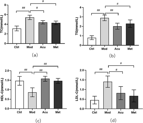 Figure 3 Effect of electroacupuncture on blood lipid in db/db mice. (a) Total cholesterol level (TC). (b) Triglyceride level (TG). (c) Low density lipoprotein level (LDL-C). (d) High density lipoprotein level (HDL-C). Data are expressed in mean ± standard deviation, #P < 0.05, ##P < 0.01 (n=8).