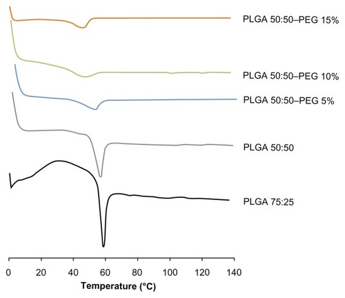 Figure 6 DSC thermograms of γ-irradiated PLGA and PLGA–PEG NSs containing 5% (w/v) HPβCD stored 6 months at 4°C and after rehydrated and stored for 3 months in the aqueous form at the same temperature.Abbreviations: DSC, differential scanning calorimetry; HPβCD, hydroxypropyl- β-cyclodextrin; NS, nanospheres; PLGA, Poly(D,L-lactide-co-glycolide); PLGA–PEG, poly(D,L-lactide-co-glycolide) with poly(ethylene glycol).