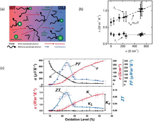 Figure 12. (a) A schematic description of the electron-crystal/phonon glass concept. Reprinted by permission from Wiley [Citation76] Copyright 2010. (b) The behavior between the thermal conductivity in the in-plane and out-of-plane direction (noted here as Λ), and the electrical conductivity for PEDOT:PSS, as reported by Liu et al. [Citation79]. The dashed line represents the Wiedemann–Franz law. Reprinted with permission from [Citation79], Copyright 2015 American Chemical Society. (c) All the parameters necessary for the thermoelectric optimization, plotted vs the Oxidation levels for PEDOT. Reprinted by permission from Wiley [Citation77], Copyright 2016.