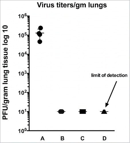 Figure 6. Protection from challenge. Shown are lung titers after challenge of RSV-experienced VLP immunized animals. RSV challenge was 125 d after VLP immunization. A: no RSV prime, no immunization; B: RSV primed, RSV immunized; C: RSV primed, VLP-H-G+Pre-F/F immunized; D: RSV primed, VLP-H/G+Post-F/F immunized. Each group contained 5 animals and titers of each animal are shown in the graph. The p value for the differences between group A and the other groups is 0.0182.