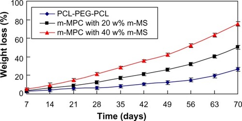 Figure 5 Weight loss ratio of PCL-PEG-PCL and m-MPC with 20 w% and 40 w% m-MS after immersion in phosphate-buffered saline over time.Abbreviations: m-MPC, m-MS and PCL-PEG-PCL composite; m-MS, mesoporous magnesium silicate; PCL-PEG-PCL, poly(ε-caprolactone)-poly(ethylene glycol)-poly(ε-caprolactone).