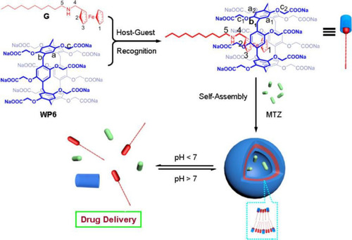 Figure 10 Schematic illustration of the formation of supramolecular vesicles and their pH-responsive drug release.Notes: Reprinted with permission from Duan QP, Cao Y, Li Y, et al. pH-responsive supramolecular vesicles based on water-soluble pillar[6]arene and ferrocene derivative for drug delivery. J Am Chem Soc. 2013;135:10542–10549.Citation63; Copyright 2013, American Chemical Society.