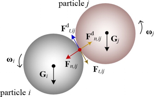 Figure 5. Contact forces acting on particle i contacting with particle j.