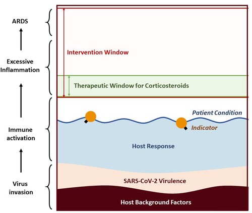 Figure 5. Theoretical schema describing SARS-CoV-2 infection and the therapeutic window for corticosteroids. The patient’s condition (water level in the figure, shown in the navy-blue line) is the result of a combination of many factors. For COVID-19 patients, these factors should at least include host background (brown), SARS-CoV-2 virulence (beige), and host response (sky blue). Based on the knowledge of SARS, MERS, and other severe respiratory virus infections, host response plays a key role in the disease progression towards ARDS. The intervention window (pink) of the disease is the interval from when the patient needs medical intervention to when the patient cannot be rescued by any available measures. Theoretically, different treatments have different therapeutic windows. For corticosteroids, its therapeutic window should be the early phase of excessive inflammation in COVID-19 patients. Whether initiating the corticosteroids therapy should base on the relationship between the patient condition (blue line) and the therapeutic window (green). For mild patients, the level of patient condition would be stably lower than the therapeutic window for corticosteroids, who may even never require any medical interventions. For the patients with high-risk factors such as advanced age, the area in brown would be larger and the level of blue line rose correspondingly, resulting in a narrower space to the intervention window and greater possibility of exceeding the therapeutic window for corticosteroids. An Ideal indictor is what exactly reflects the patient condition just as the buoy (orange icon) on the river.