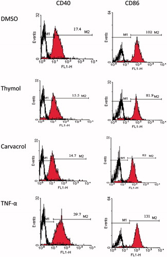 Figure 4. Histograms for the expression of CD40 and CD86 on DCs treated with 10 µg/ml thymol and carvacrol by flow cytometry as an example. Negative control was untreated cells containing 0.1% DMSO in medium and positive control was cells treated with TNF-α. The cells were stained with monoclonal antibodies to CD86, MHC II, CD40, and CDllc molecules and then the expression of surface markers was analyzed. DCs were gated on CD11c+ cells. Numbers written on M2 marker are the mean fluorescence intensity of molecules in cells treated with the compounds, TNF-α or DMSO. M1 is the relevant isotype control. The result shown is one representative experiment out of three independent experiments.