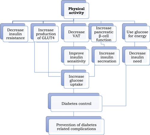 Figure 1 A short summary of the physiological effects of physical activity on type 2 diabetes.