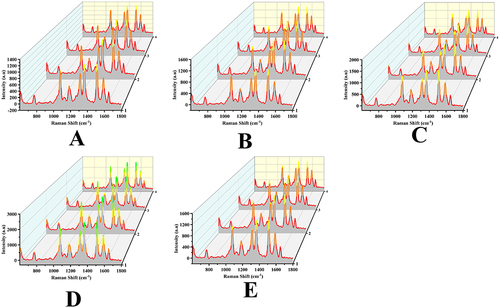 Figure 12 Application analysis in mice serum. SERS spectra of IDH1 R132H and BRAF V600E in mice serum at different times: (A) 0 d; (B) 7 d; (C) 14 d; (D) 21 d and (E) 28 d.